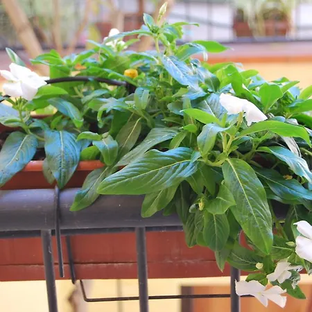 Casa Francesca Hotel