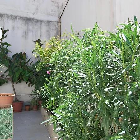 Отель Casa Francesca *