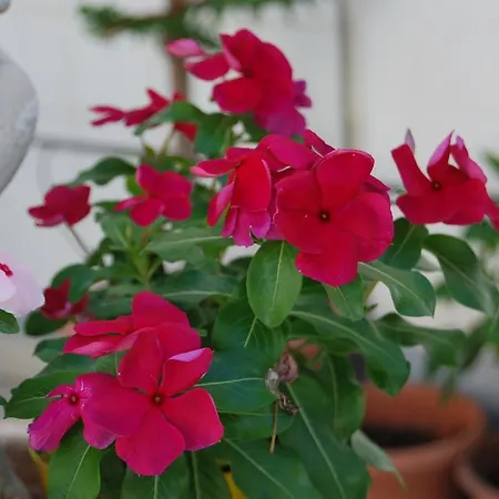 Casa Francesca Отель Сиракузы