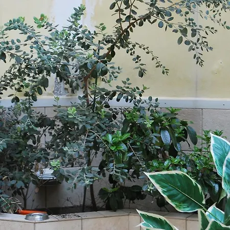 Отель Casa Francesca