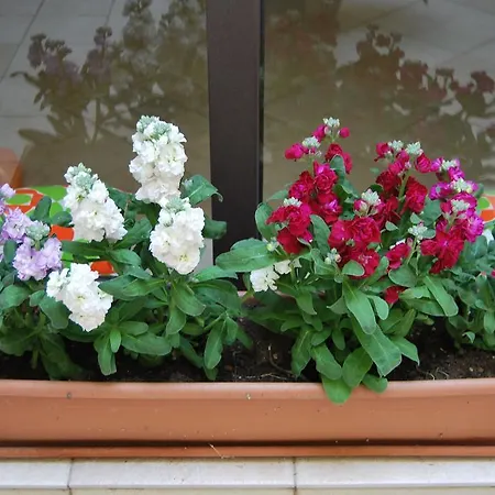 Casa Francesca Сиракузы